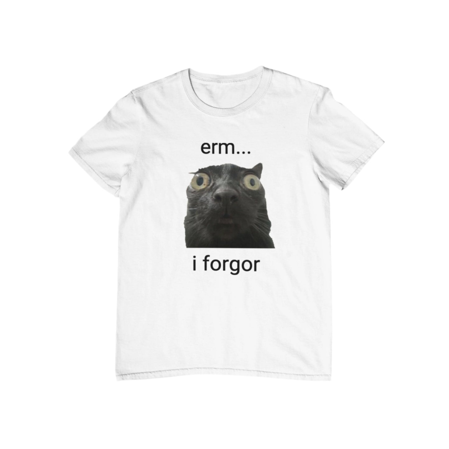 Erm... I Forgor T-Shirt