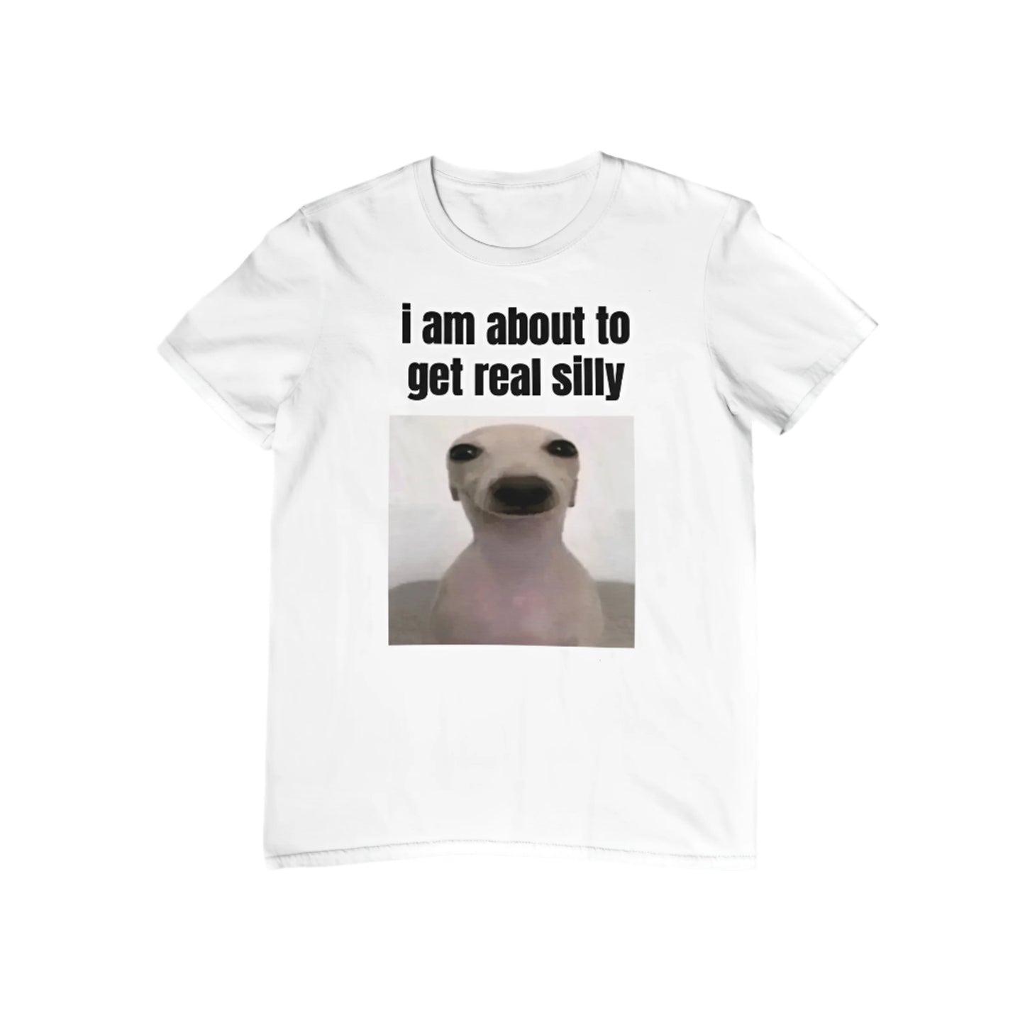 I am about to get real silly T-Shirt