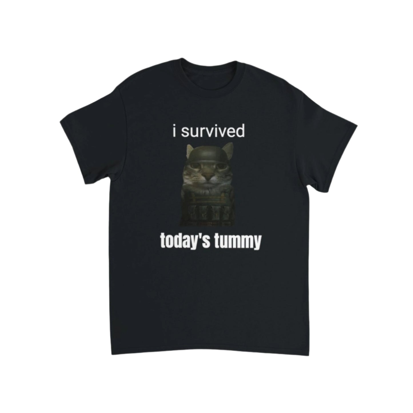 I survived today's tummy ache T-Shirt