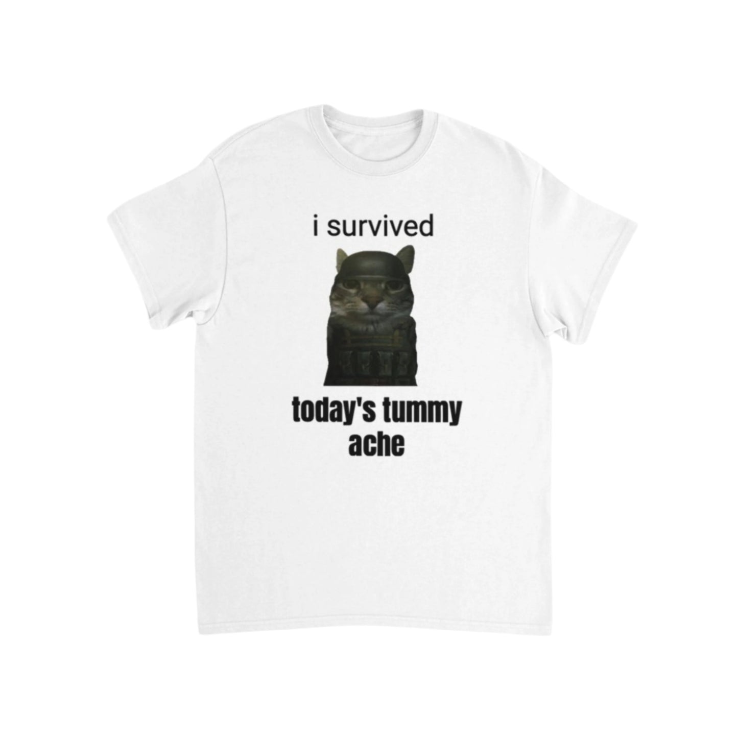 I survived today's tummy ache T-Shirt