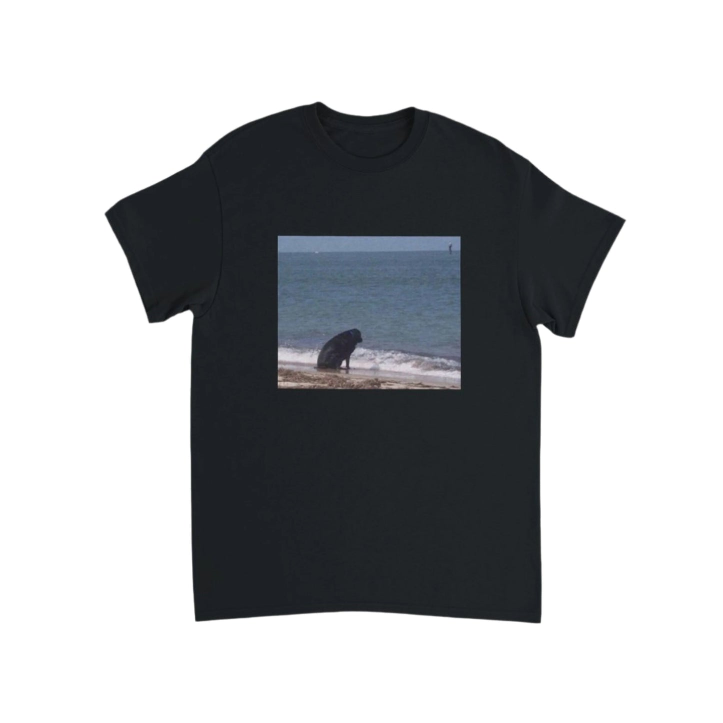 sad dog at the beach T-Shirt